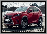 2018, Lexus NX