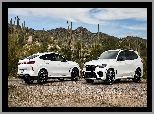 Competition, BMW X5 M, Białe, Dwa, BMW X6 M