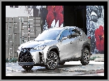 Ogrodzenie, Ściana, Lexus UX200, Kolorowa