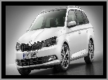 Skoda, Fabia